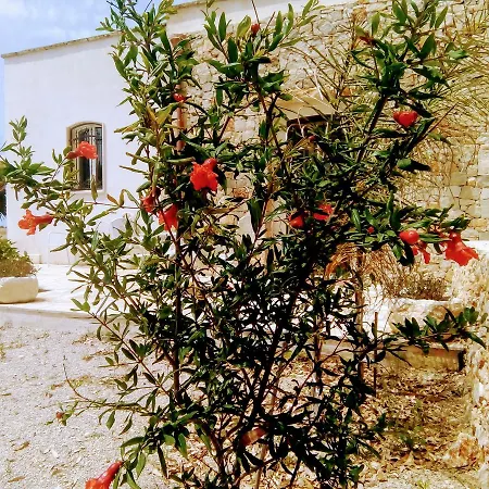 Casale Conte Dell'anna